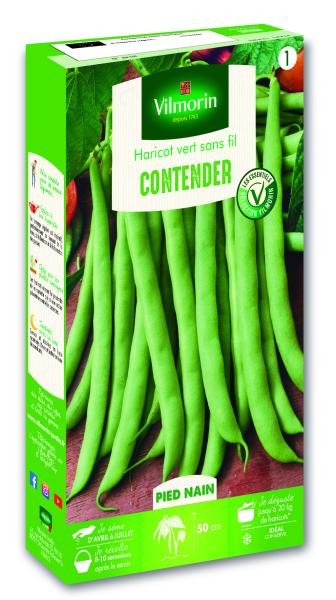 Légumes Secs - Haricot Nain Vert Contender - face recto